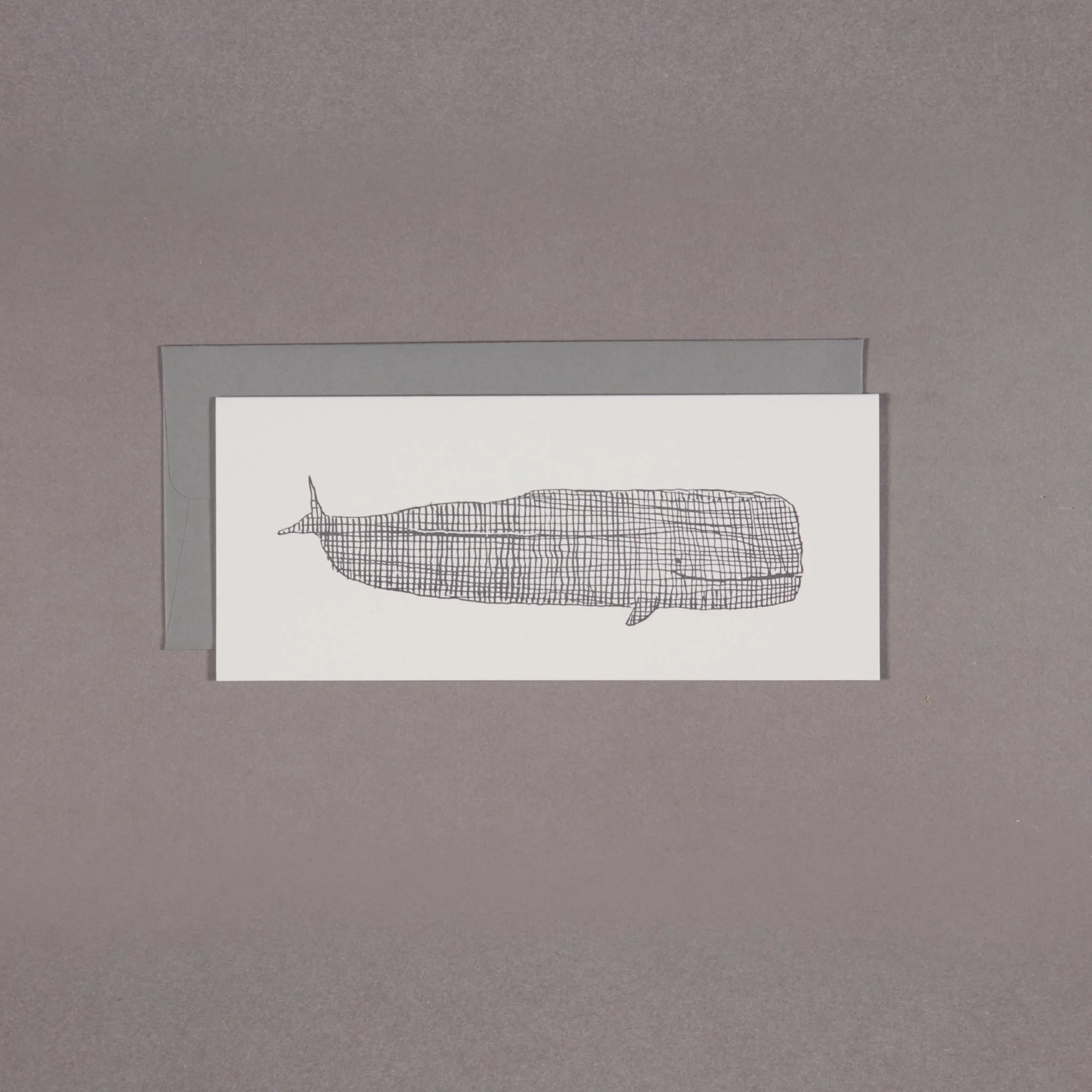 WINK Notecard Whale