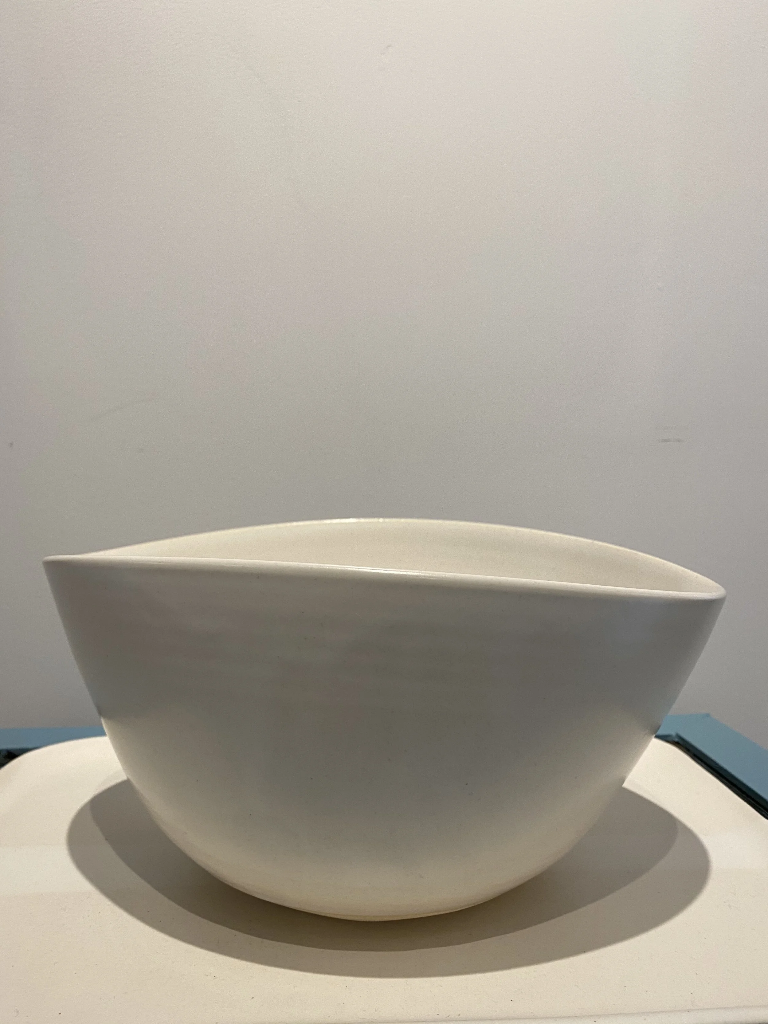 Med white sylvia.jpg