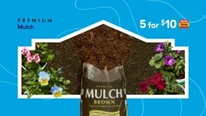 Lowes Springfest Lawn & Garden :15