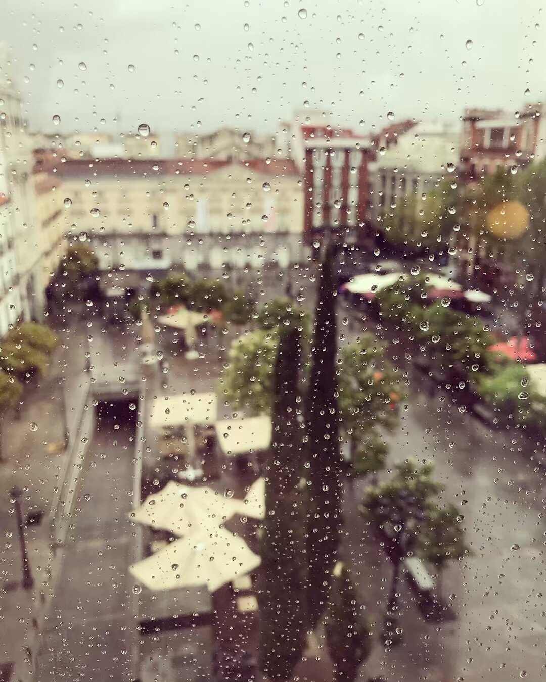 Overlooking Plaza Santa Ana in Madrid on a rainy afternoon. A relaxing spot my Dad used to visit often growing up. 🍷 🇪🇸