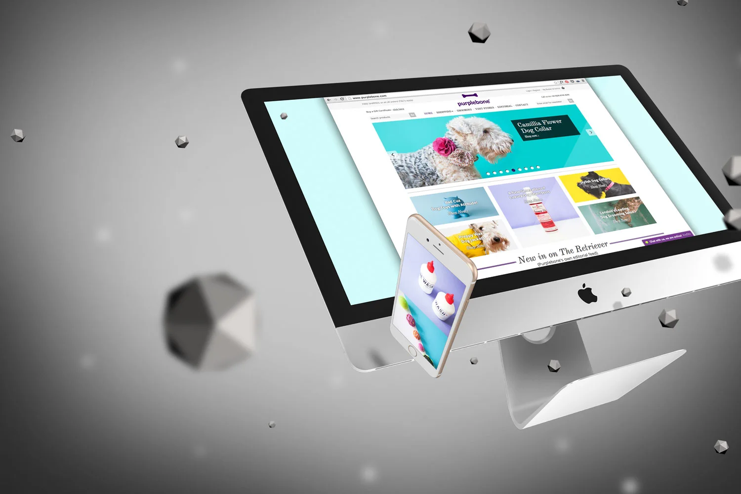 Purplebone_ecommerce_casestudy.jpg