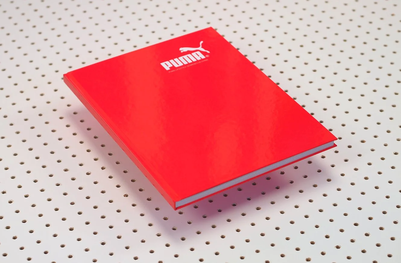 DoT_PumaBook_1.jpg