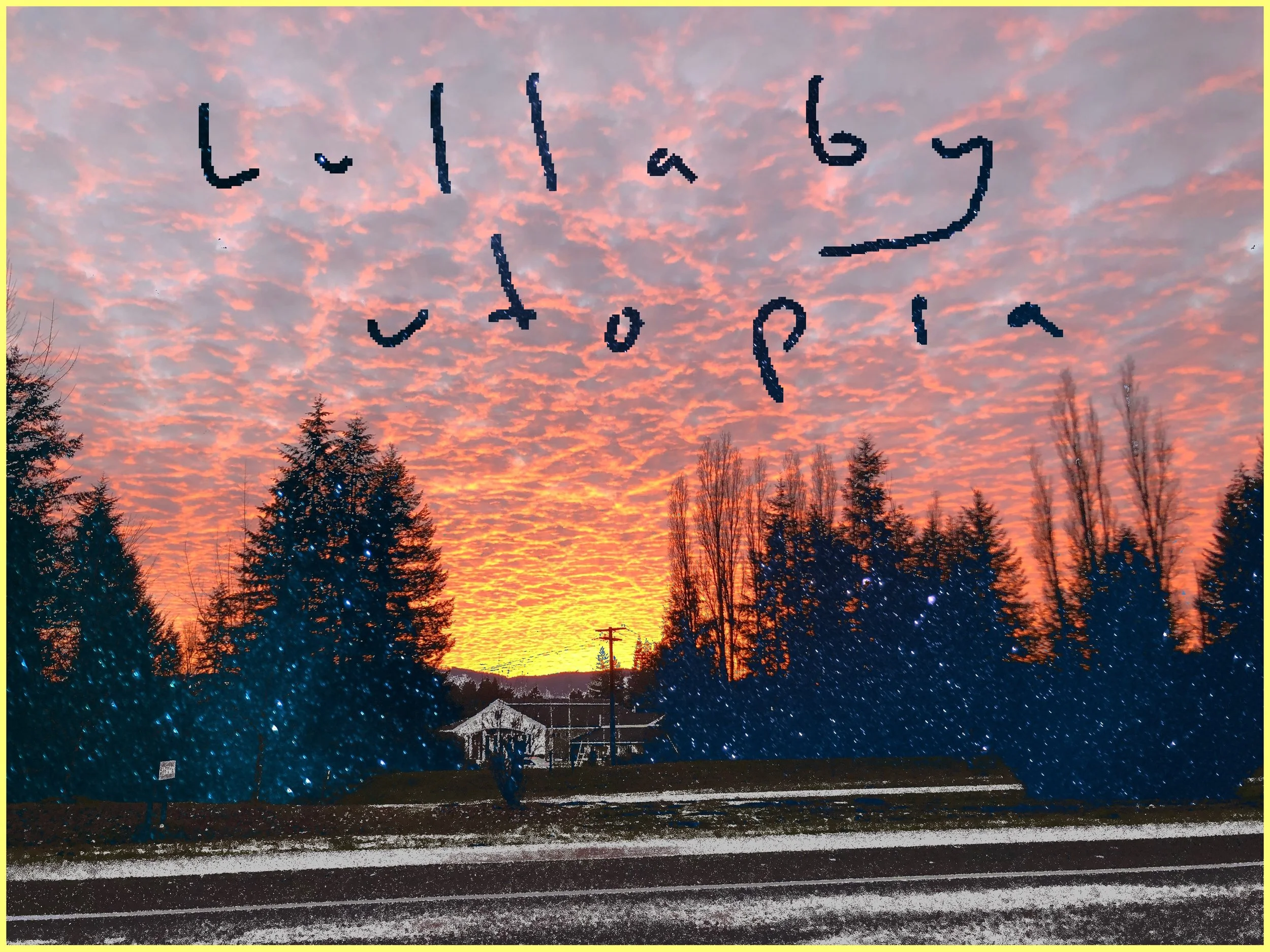 Crazy Birds by my Apartment