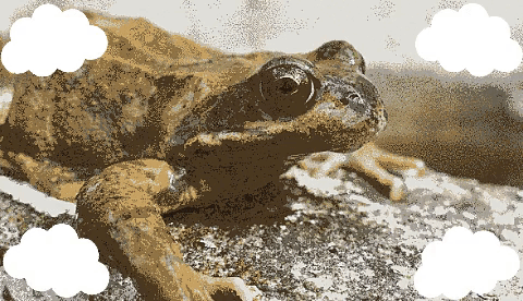 Moonlit backyard/Laser Cutter from Dale's work