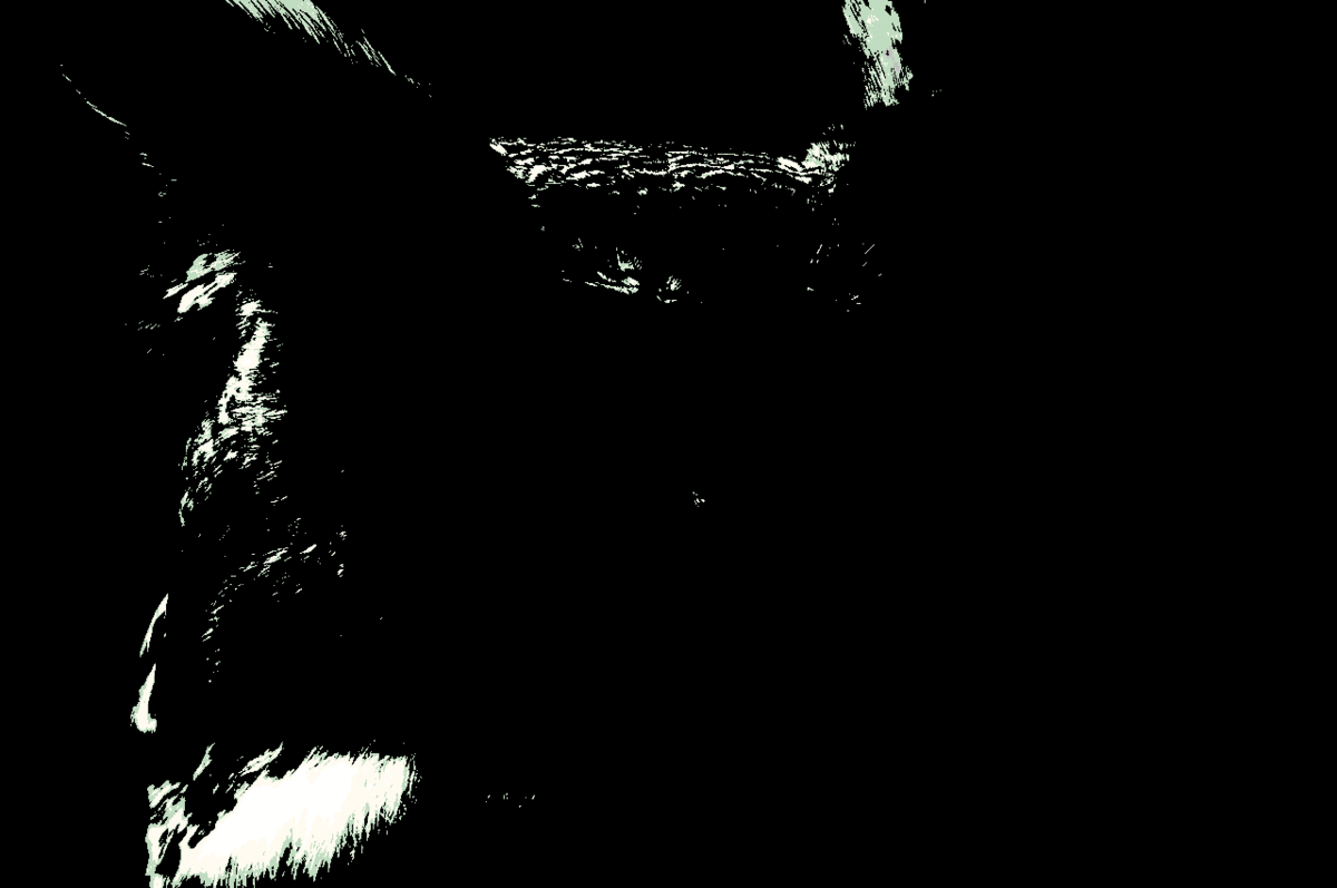 ezgif.com-gif-to-mp4(4).gif
