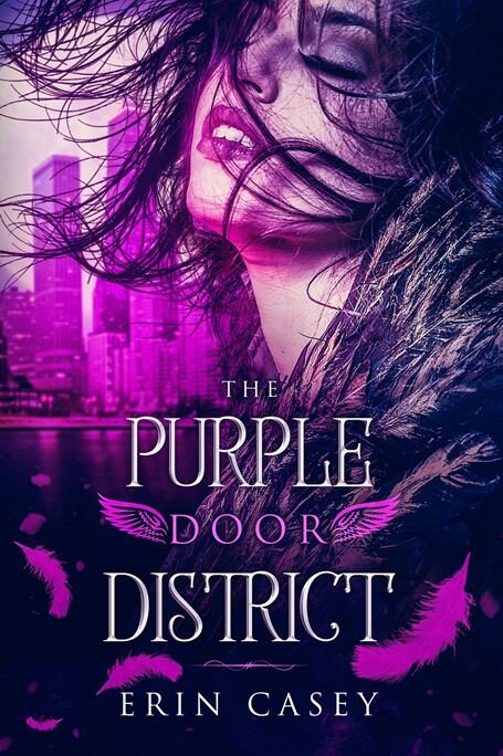 Purple Door District Cover.JPG