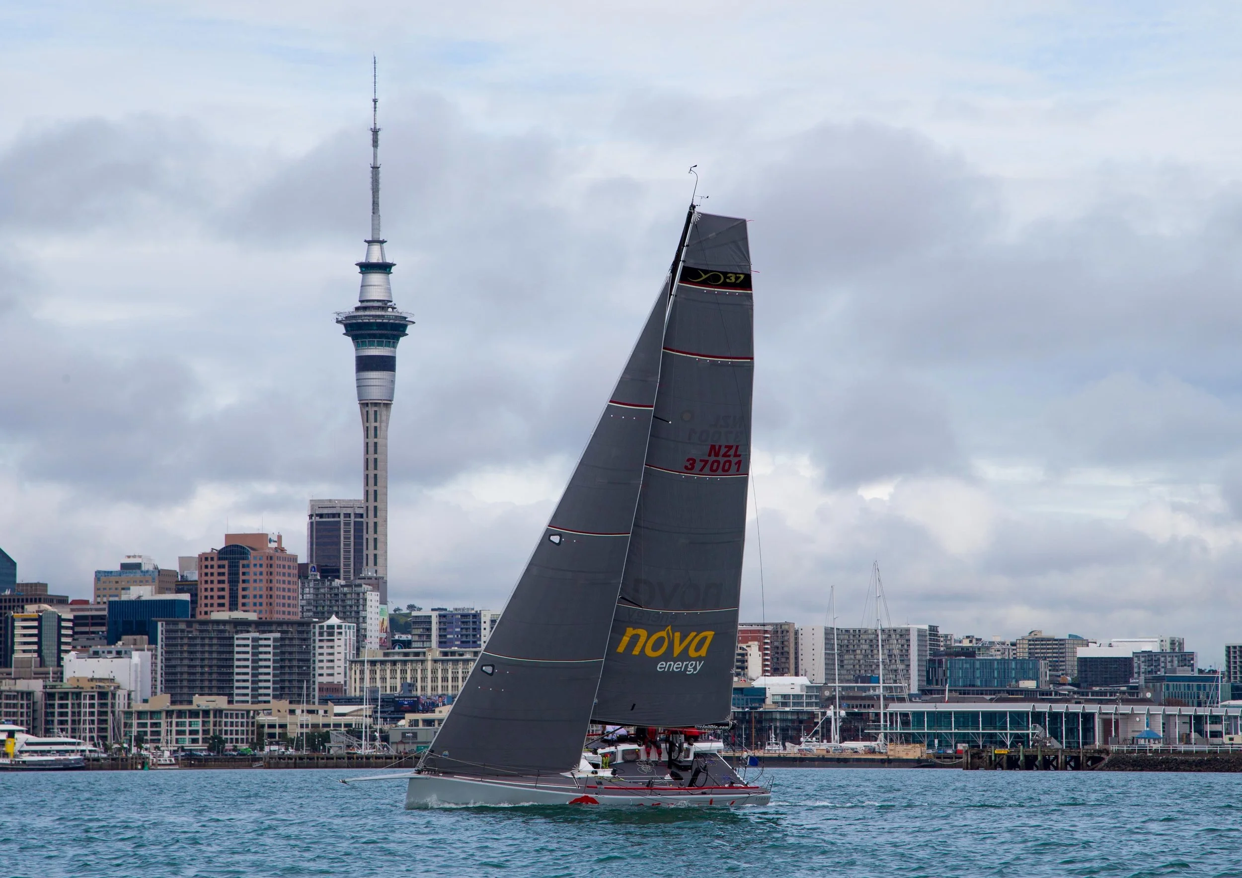 11.2M (YD37) ANARCHY - 2015