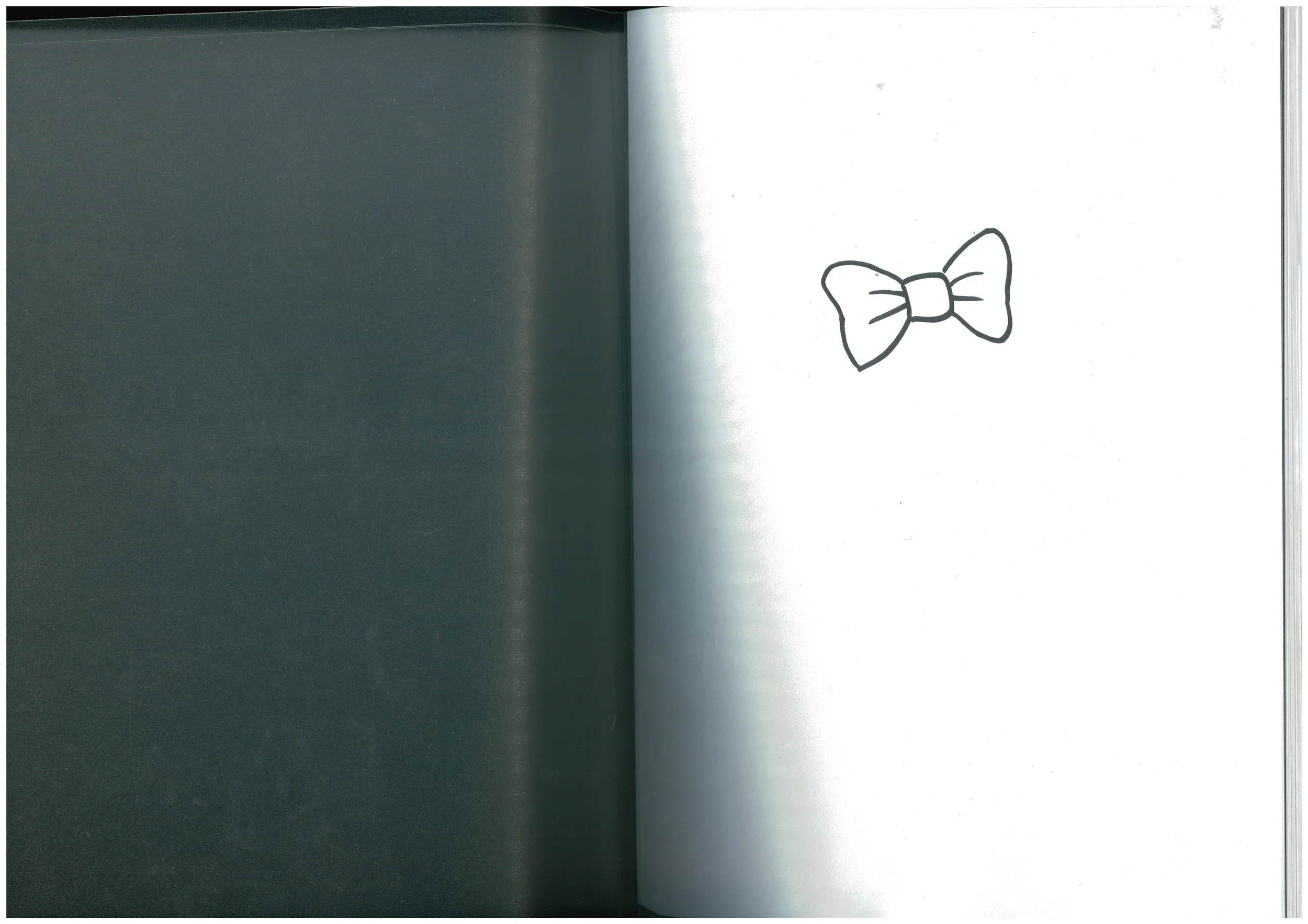 Bonpoint portfolio scans