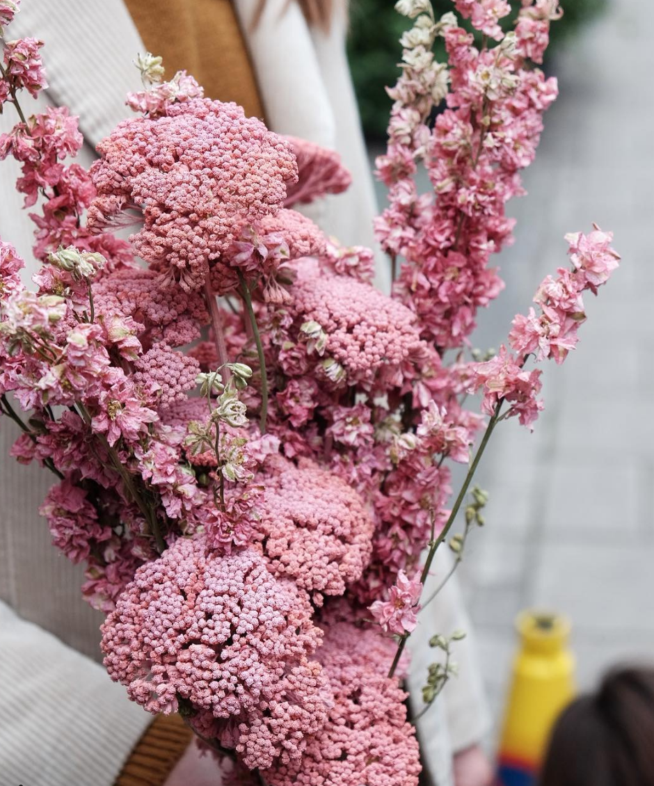 Screen Shot 2018-03-26 at 8.57.41 AM.png