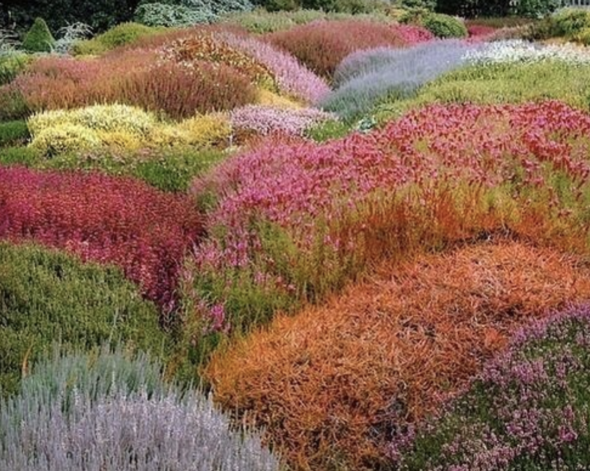 Screen Shot 2019-10-15 at 9.56.39 AM.png