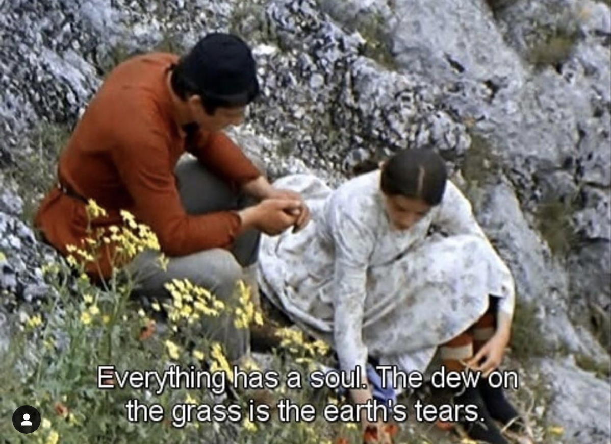 Screen Shot 2019-10-15 at 9.57.22 AM.png