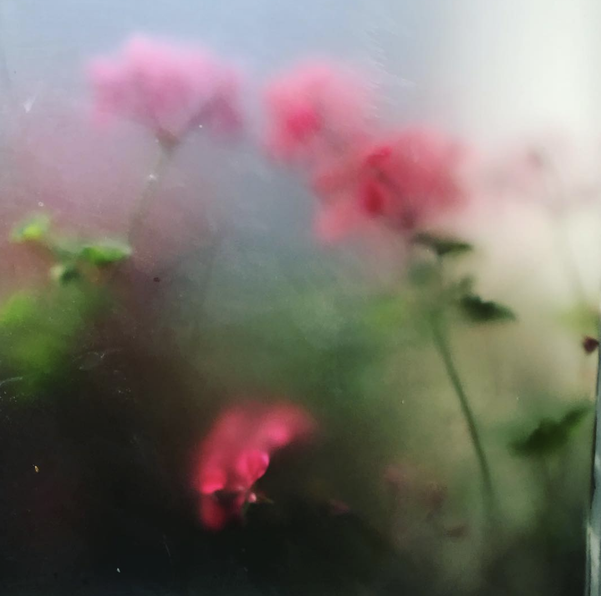 Screen Shot 2019-10-22 at 10.23.07 AM.png