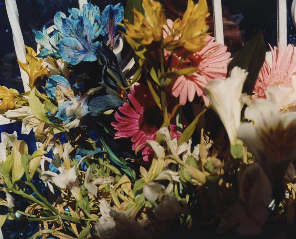 Screen Shot 2019-10-22 at 10.23.41 AM.png