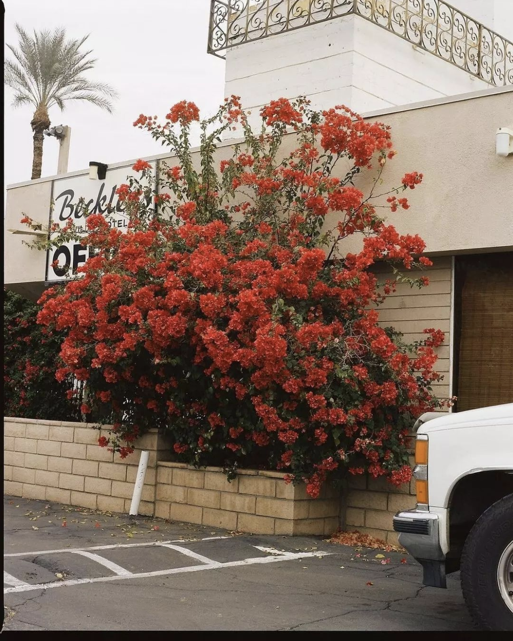 Screen Shot 2022-06-16 at 5.21.04 PM.png