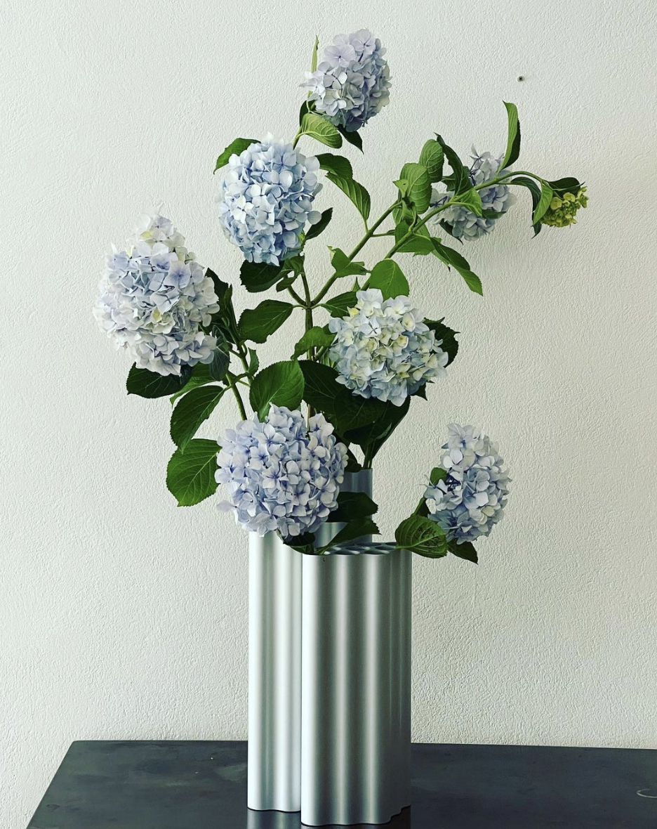 Screen Shot 2022-03-21 at 11.30.29 AM.png