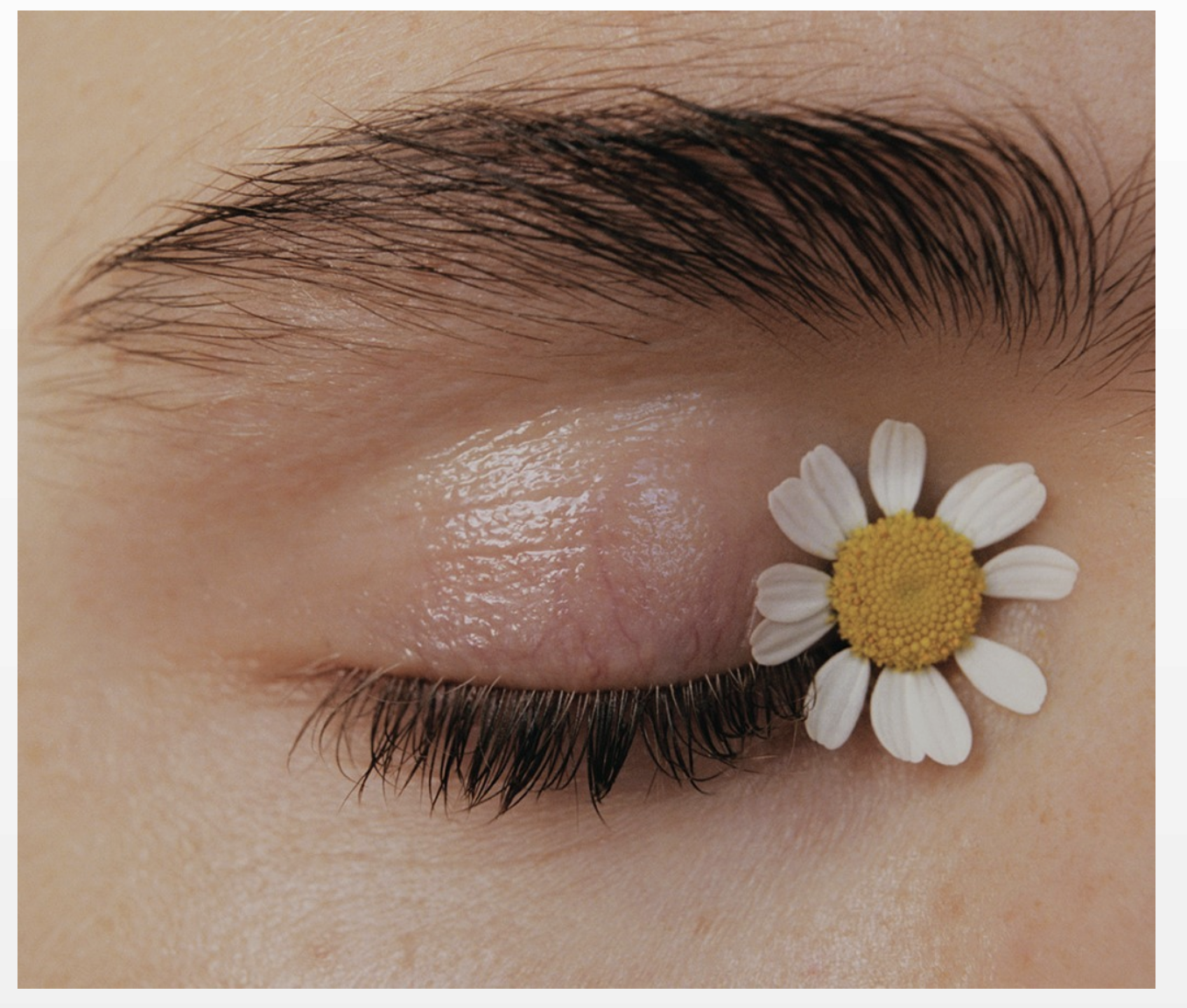 Screen Shot 2019-10-15 at 11.59.48 AM.png