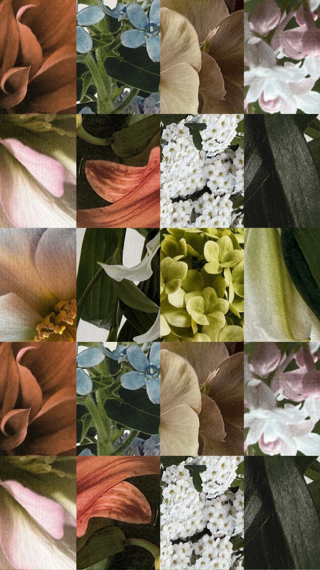 Botanist Print - 01.jpg