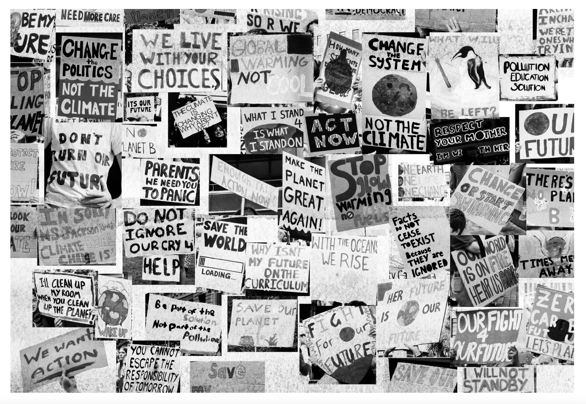 Screen Shot 2024-08-26 at 11.07.17 AM.png