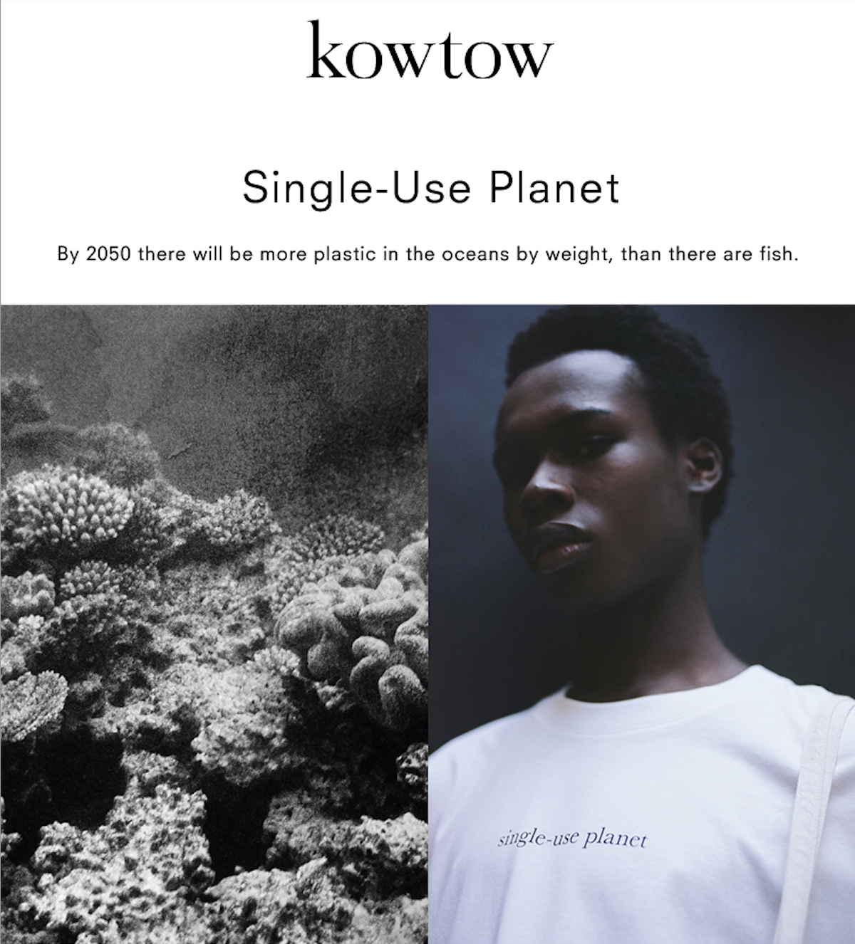 Screen Shot 2024-08-26 at 11.12.09 AM.png