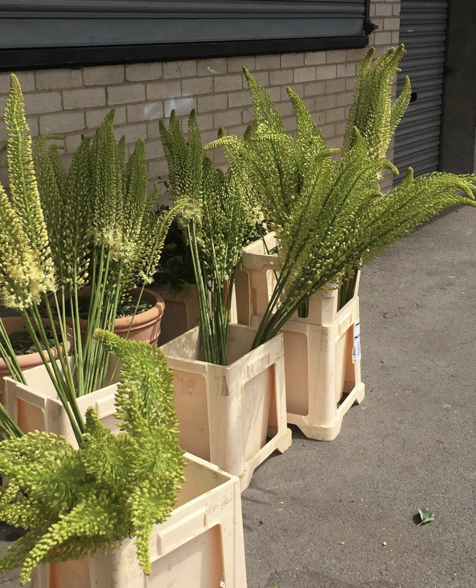 Screen Shot 2019-04-15 at 9.21.18 AM.png