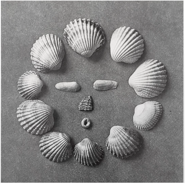 Capture d’écran 2019-04-01 à 14.05.53.png