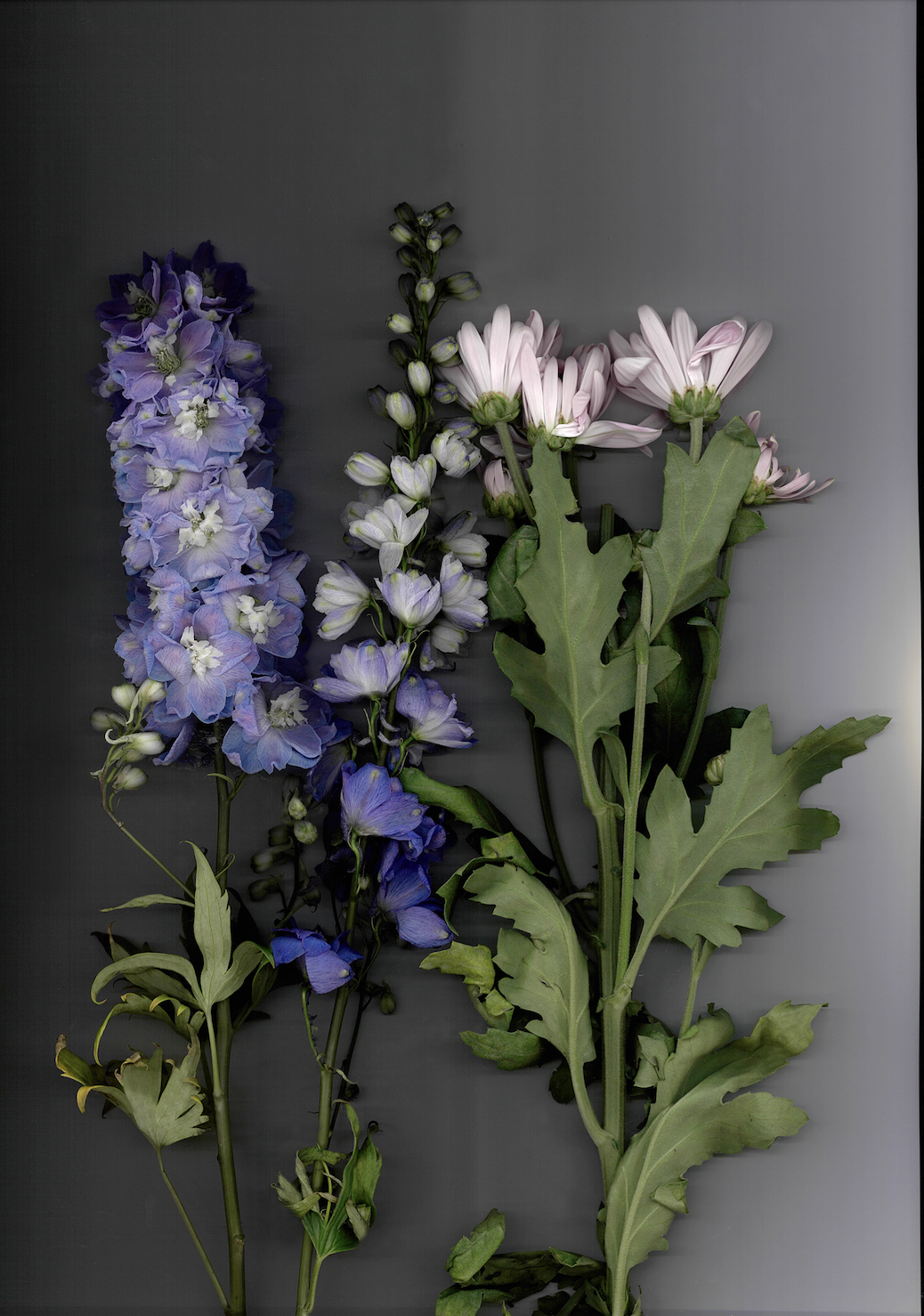 Screen Shot 2024-10-10 at 10.09.35 AM.png