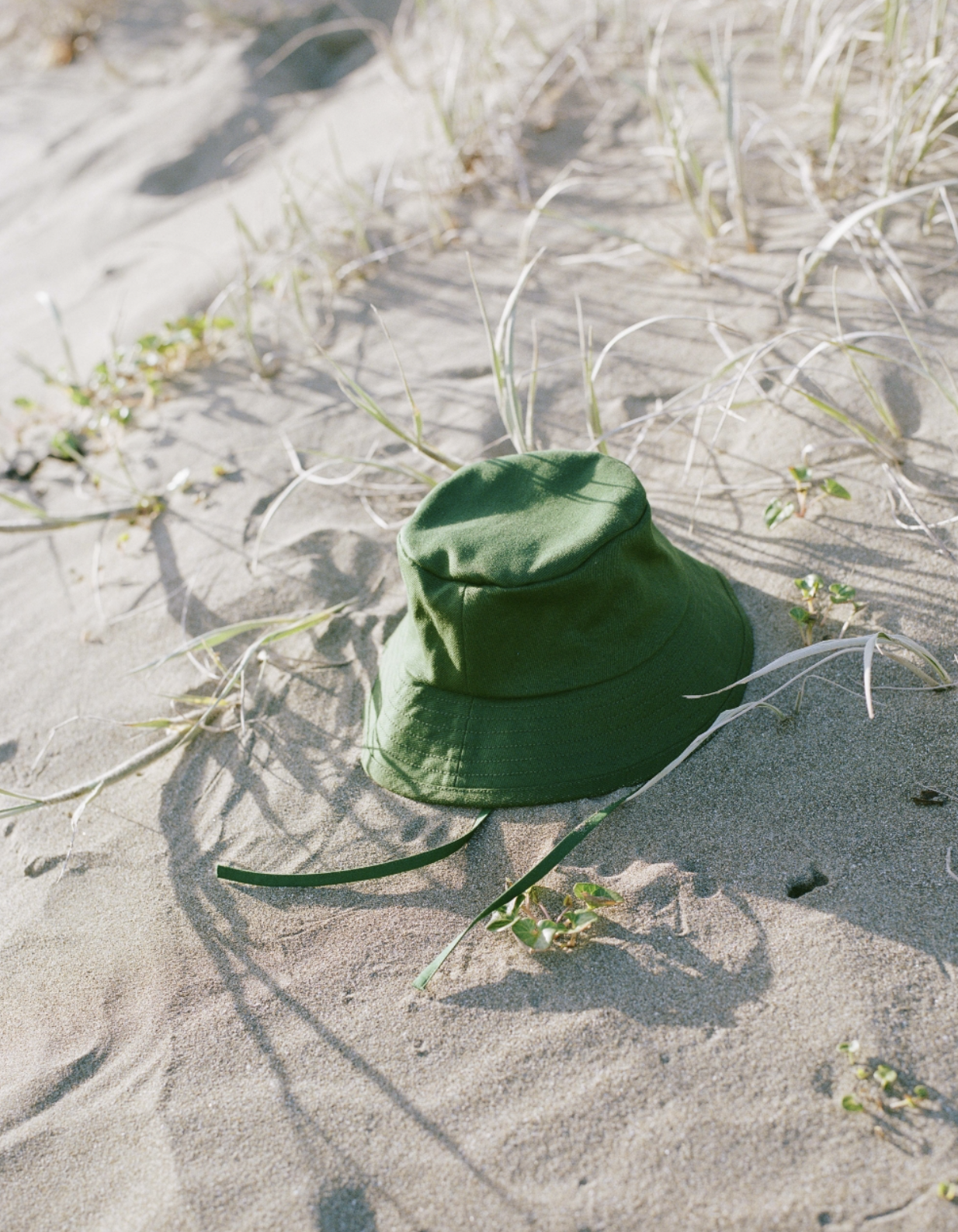 Screenshot 2025-03-04 at 10.34.21.png