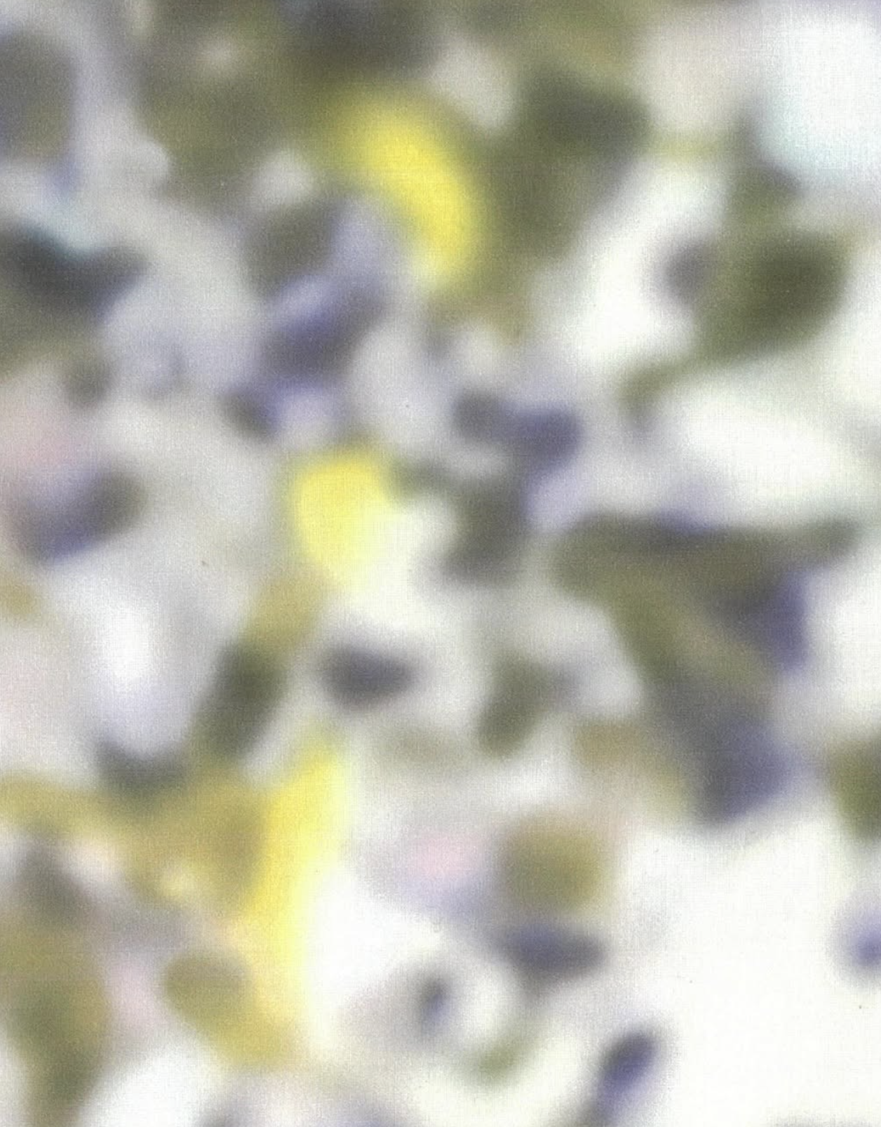 Screenshot 2025-03-04 at 10.39.06.png