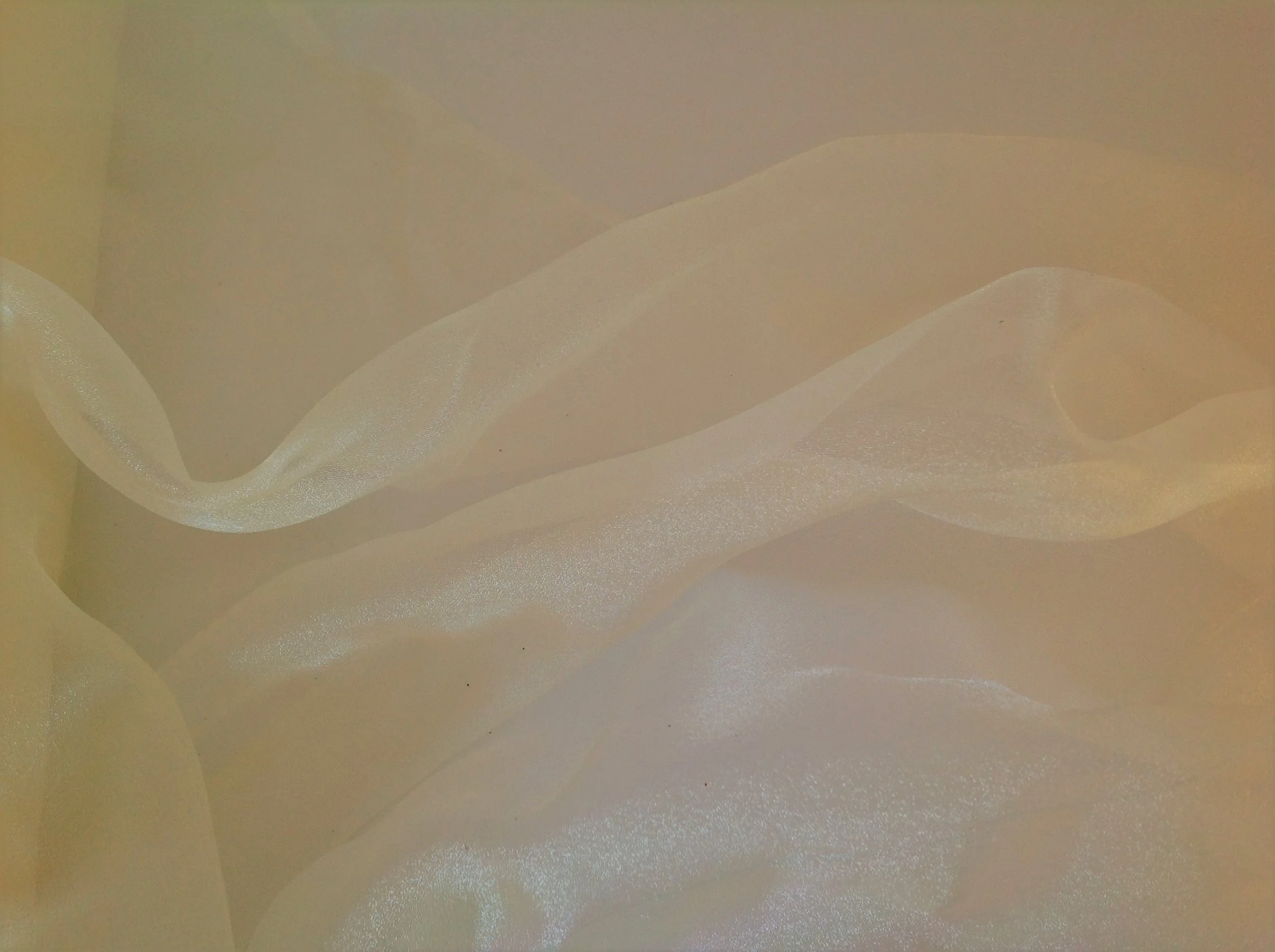 Tradway organza fabric (15).JPG