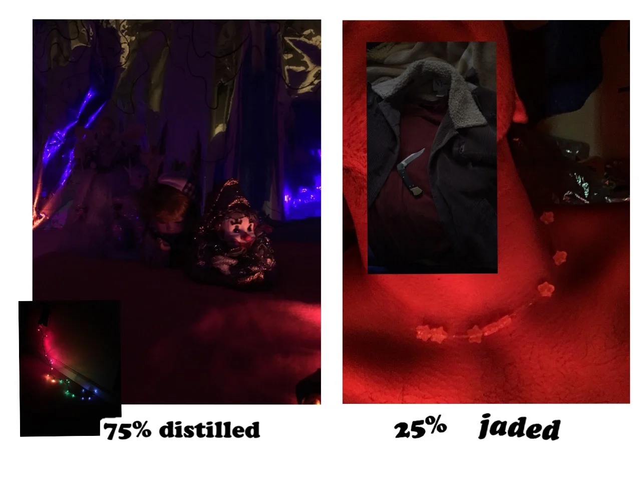 collage photo 2016 11.jpg