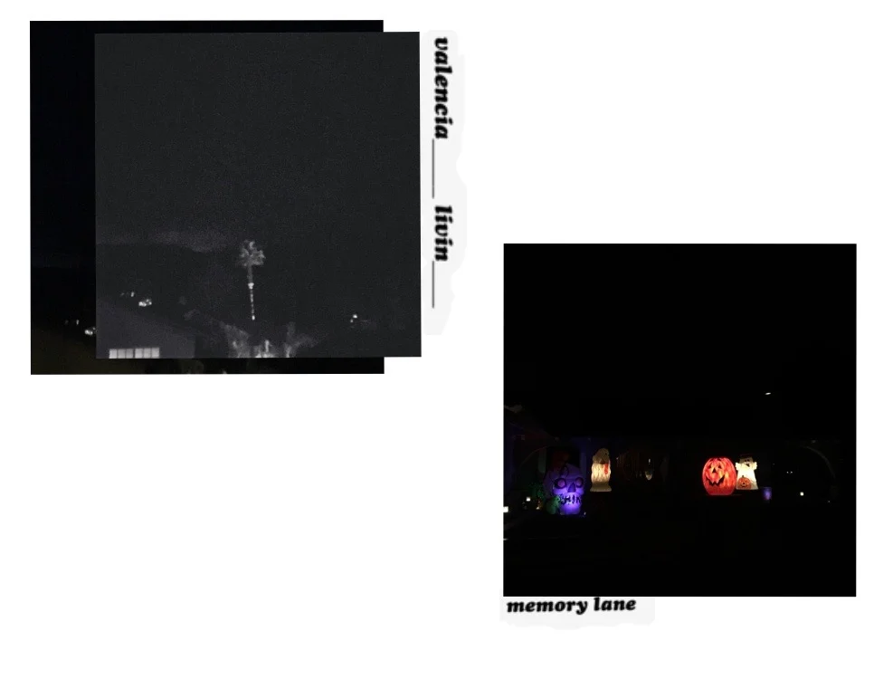 collage photo 2016 16.jpg