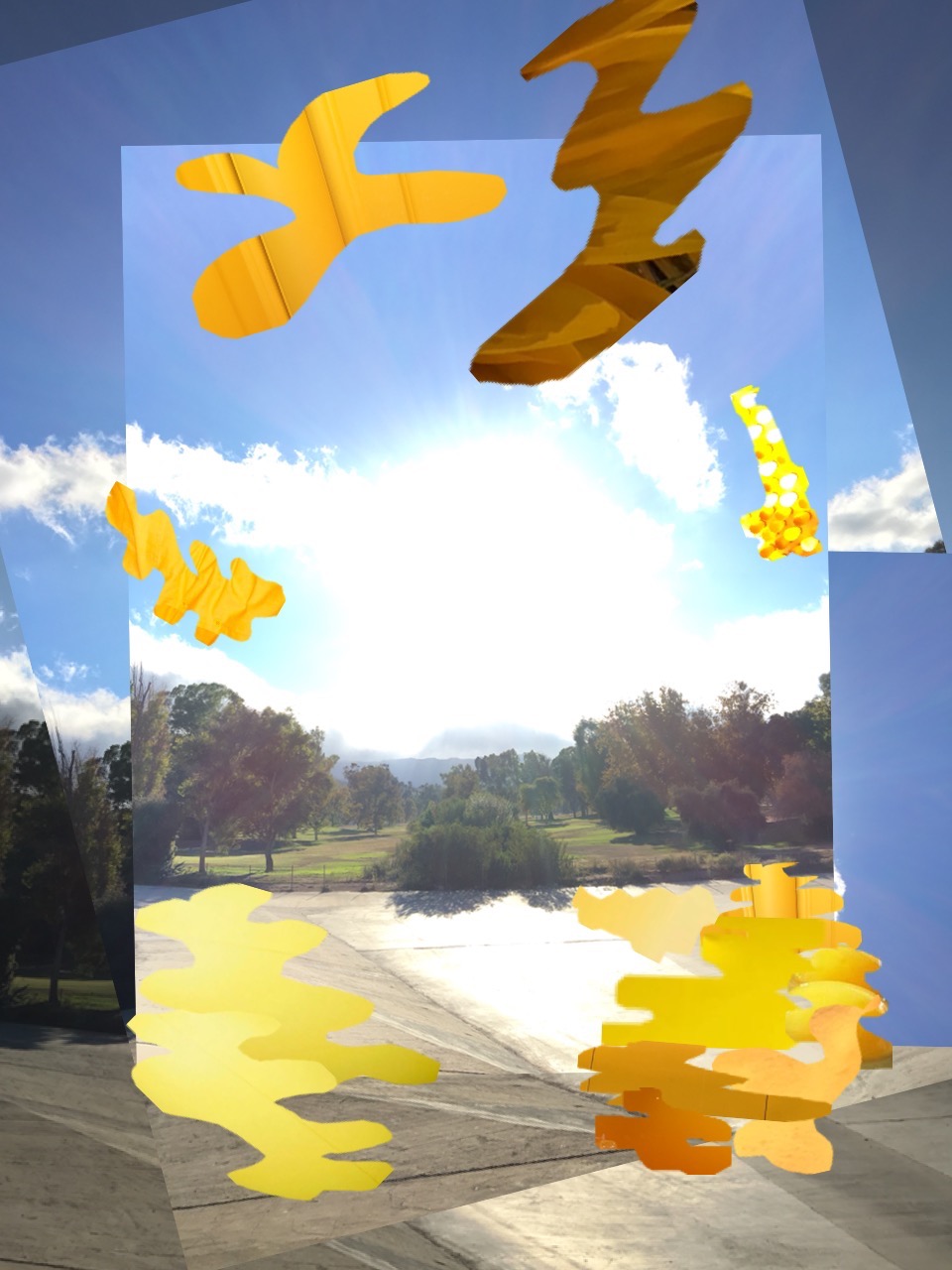 collage photo 2016 5.jpg