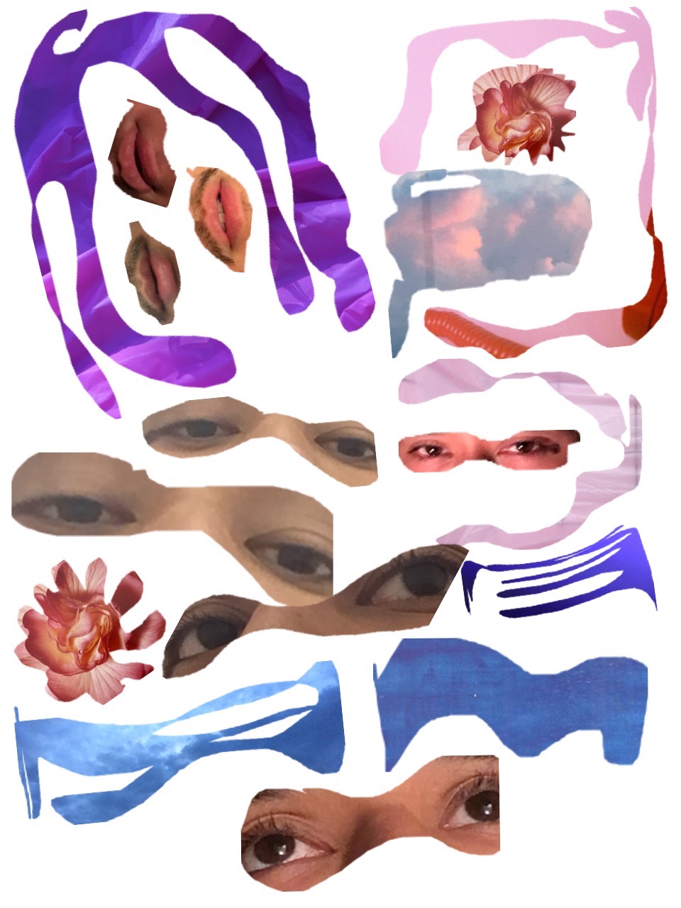 collage photo 2016 7.jpg