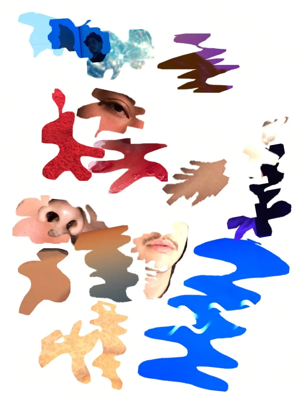 collage photo 2017 2.jpg