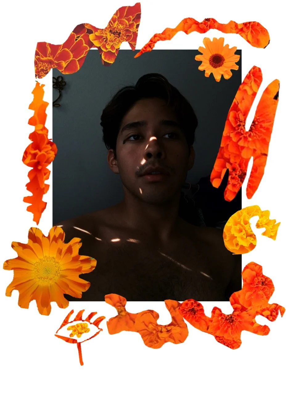 collage photo 2016 3.jpg