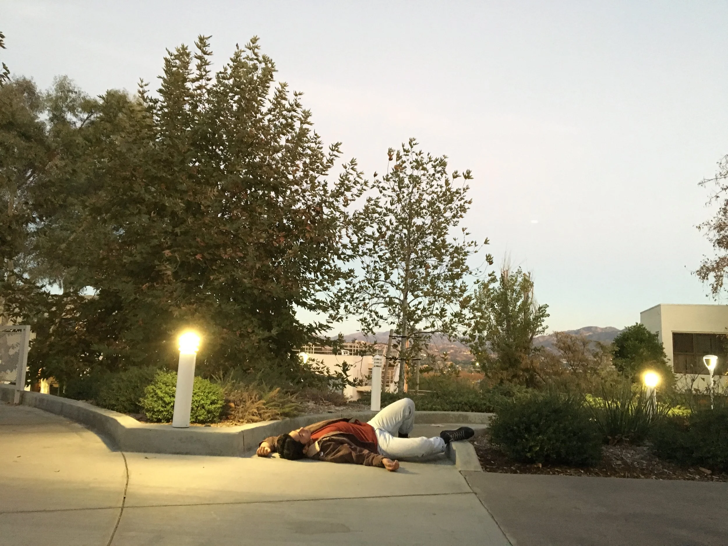 photo portrait 2016 1.jpg