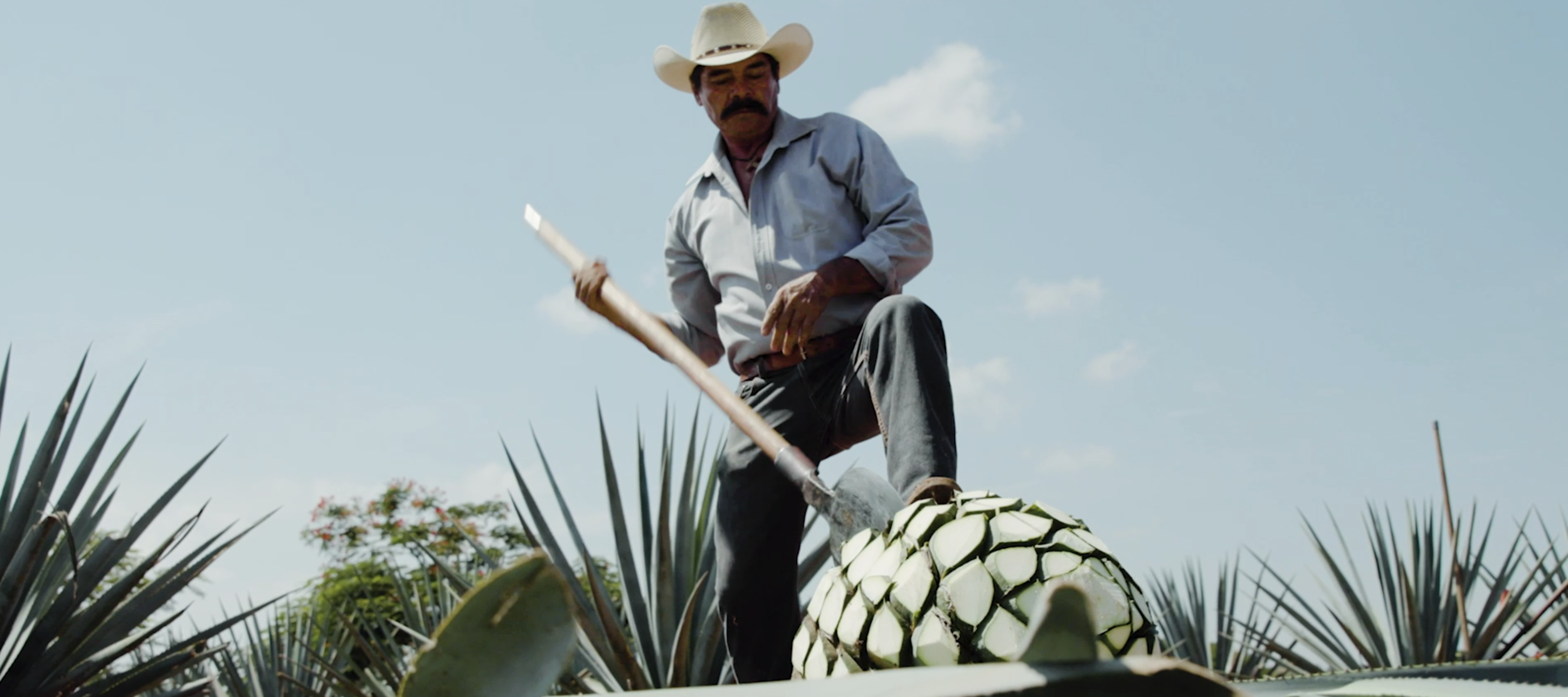 Screen Shot 2020-02-27 at 2.55.32 PM.png