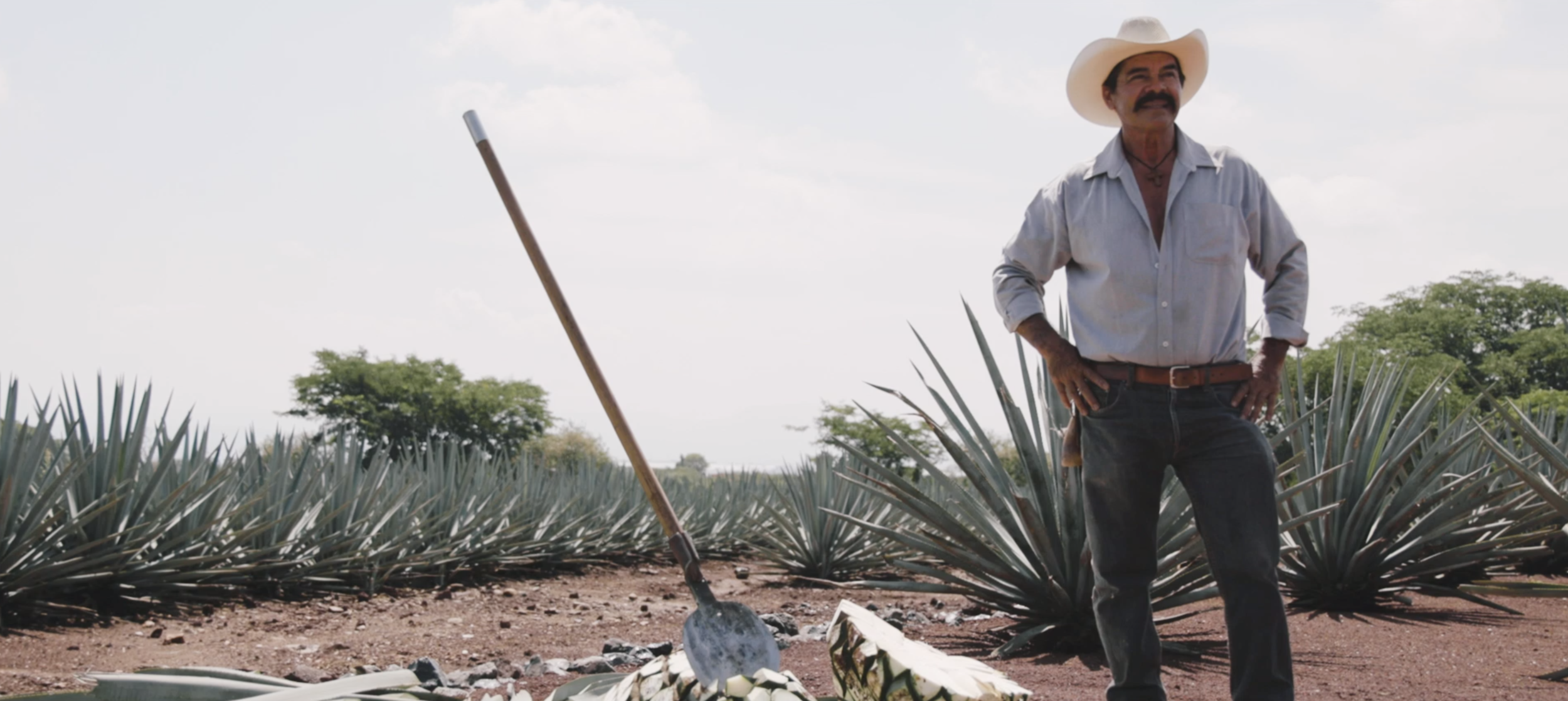 Screen Shot 2020-02-27 at 2.56.54 PM.png