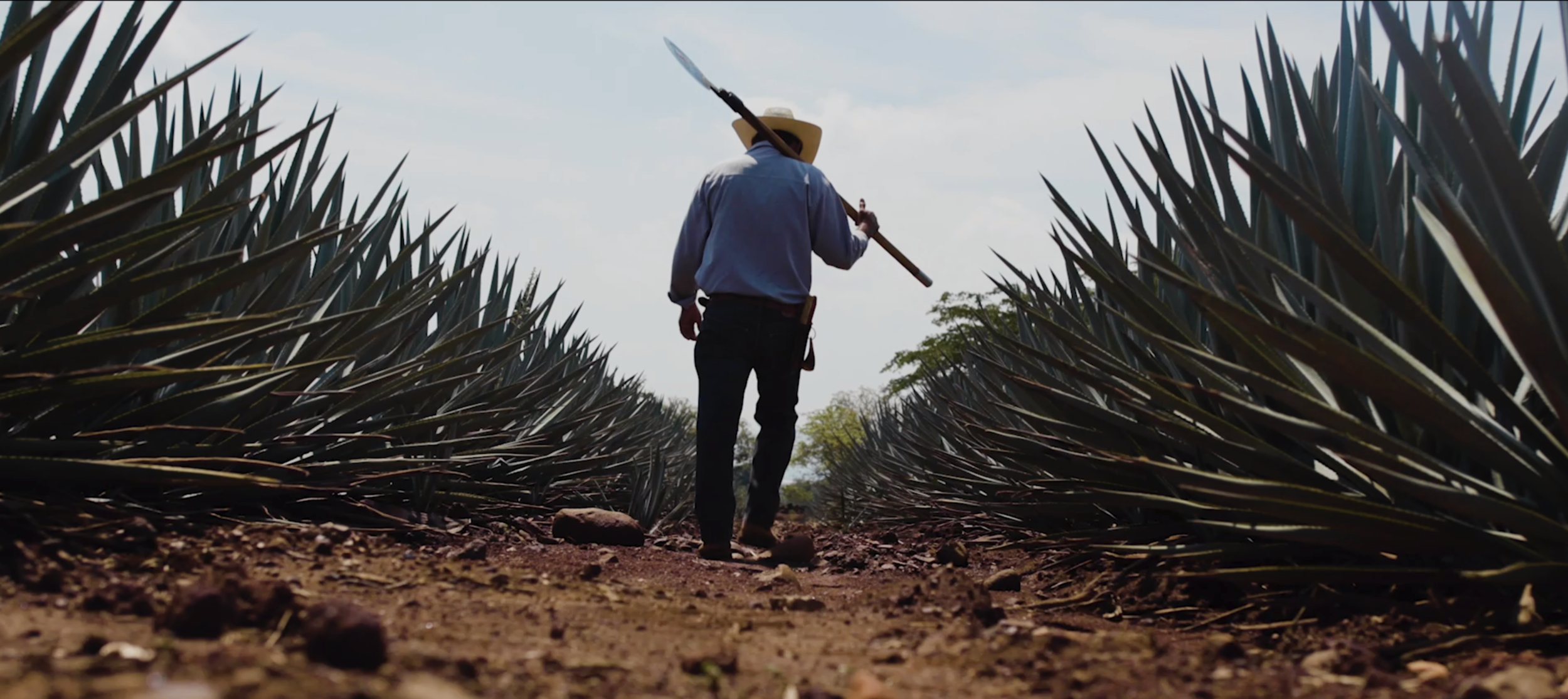 Screen Shot 2020-02-27 at 2.53.53 PM.png