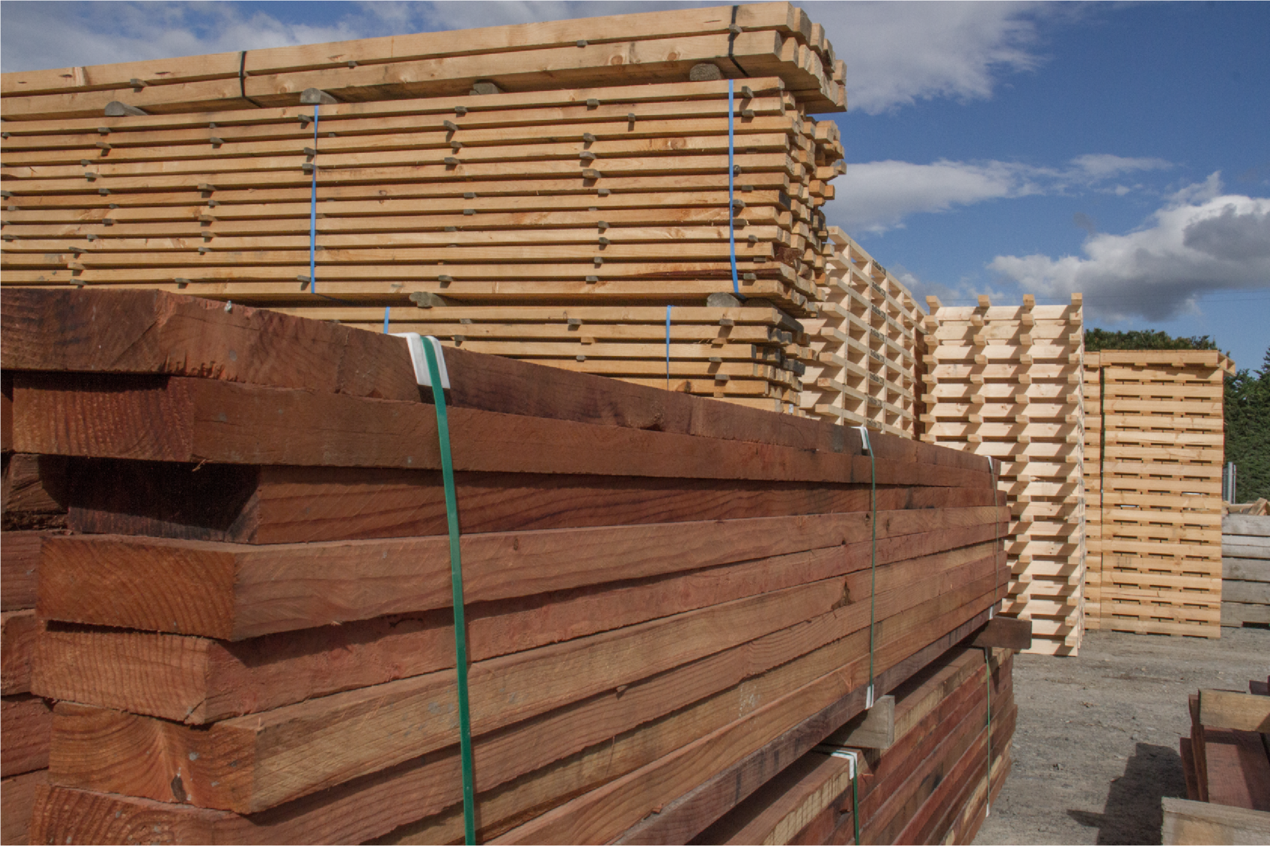 Timber Sales