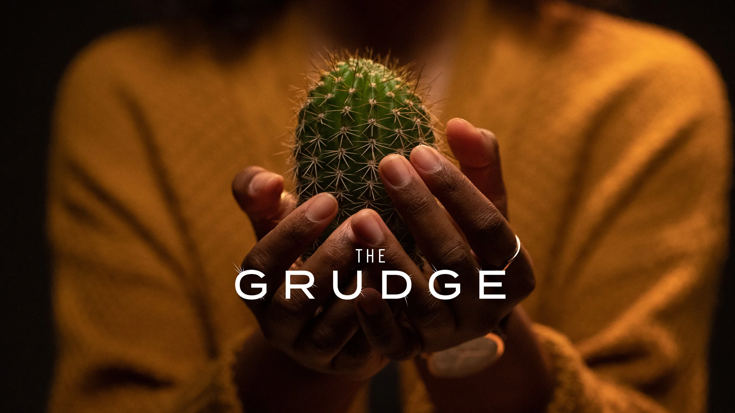 Let Go of the Cactus