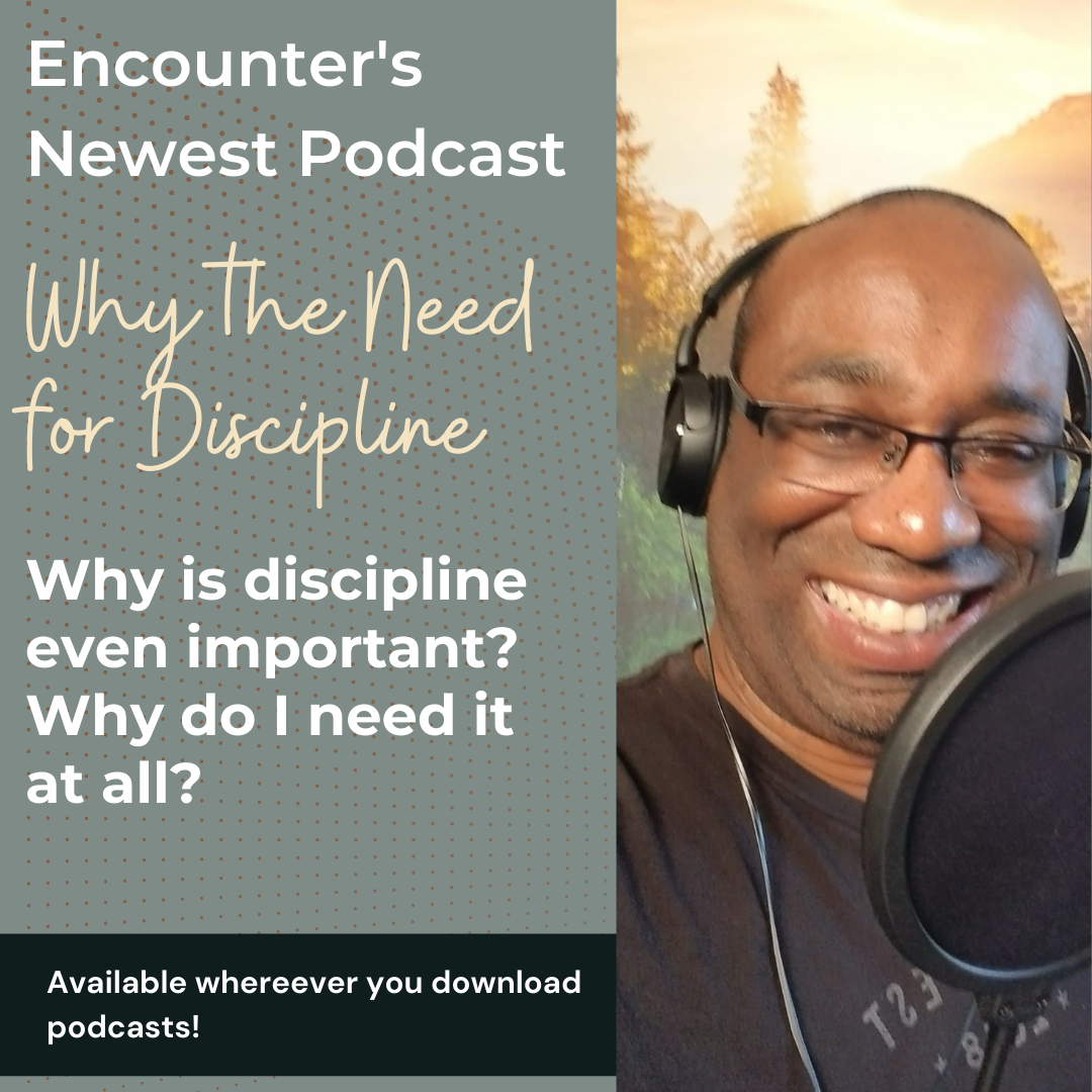 Why Do I Need Discipline? episode artwork