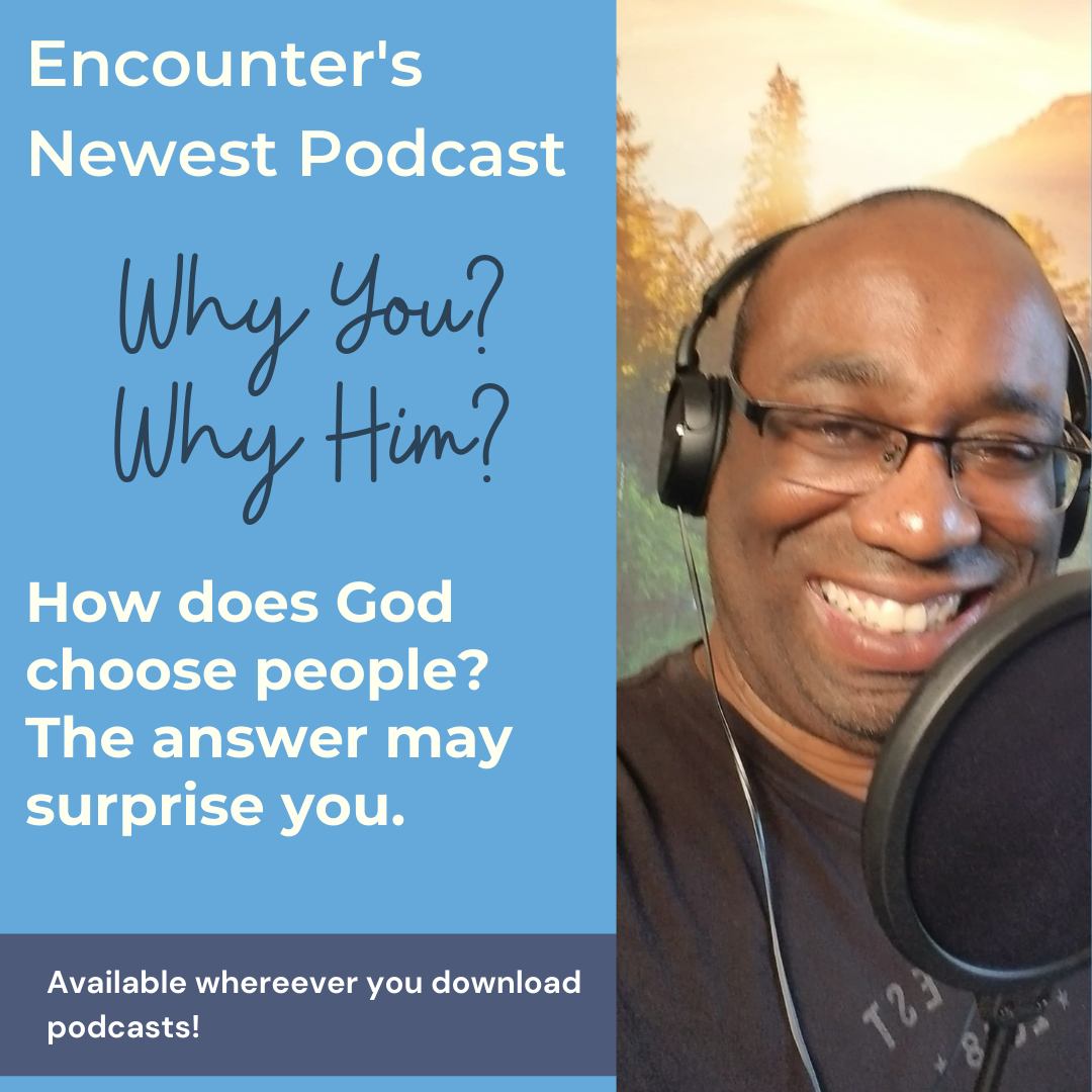 Why You? Why Him? episode artwork
