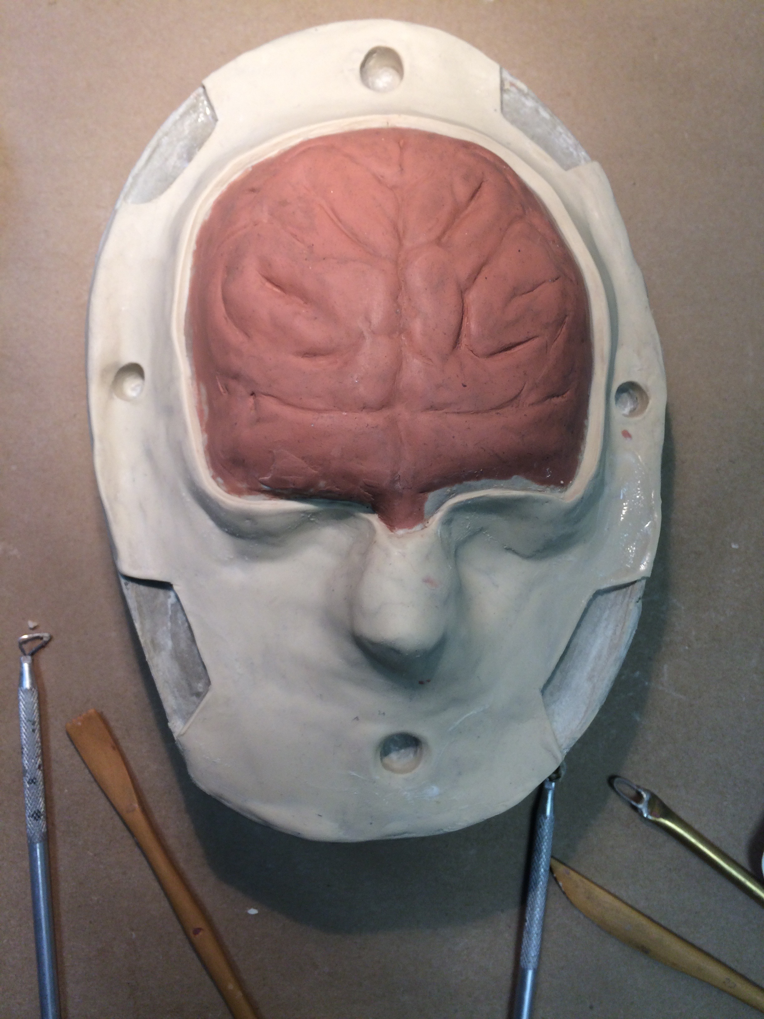 brain forehead sculpt