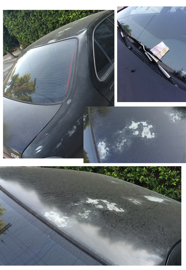 car+sentra+2+detail.png