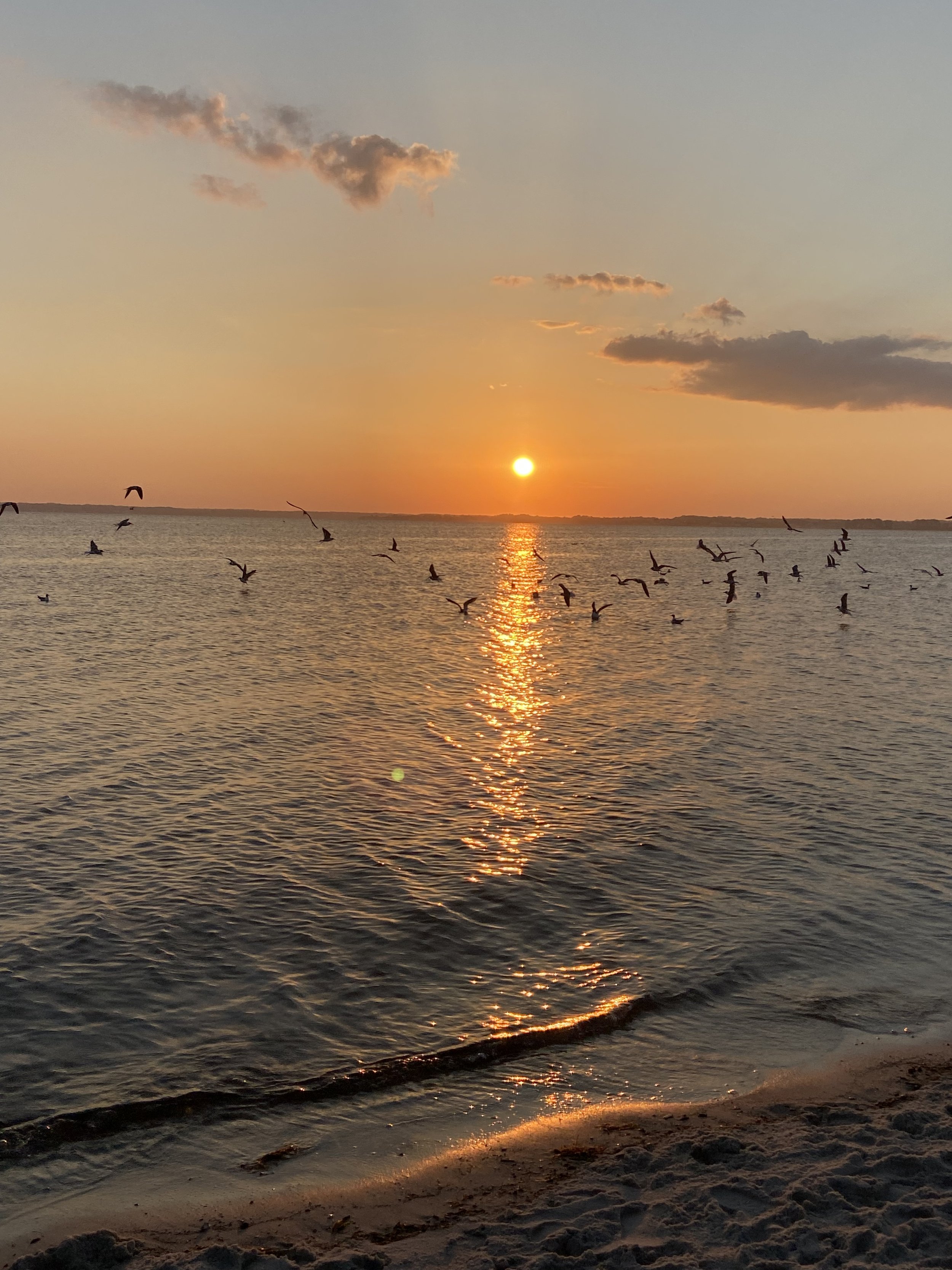 Sunset Over Rehoboth Bay