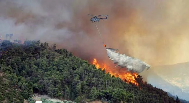 Forest_fire_bambi-bucket-don-arney-meditation_cd.jpg