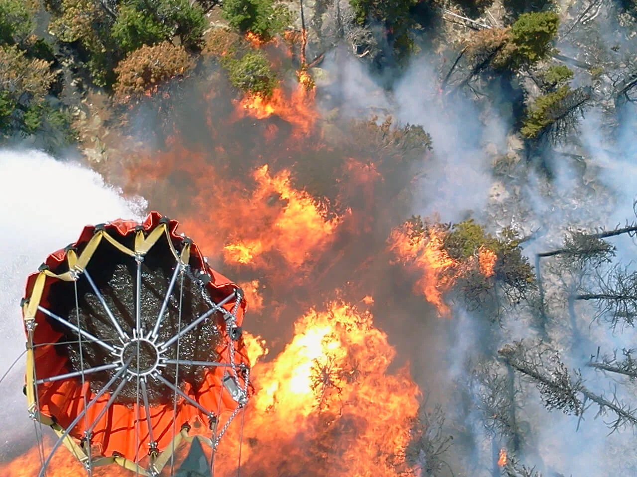 Bambi Bucket inventor included in hall of fame class