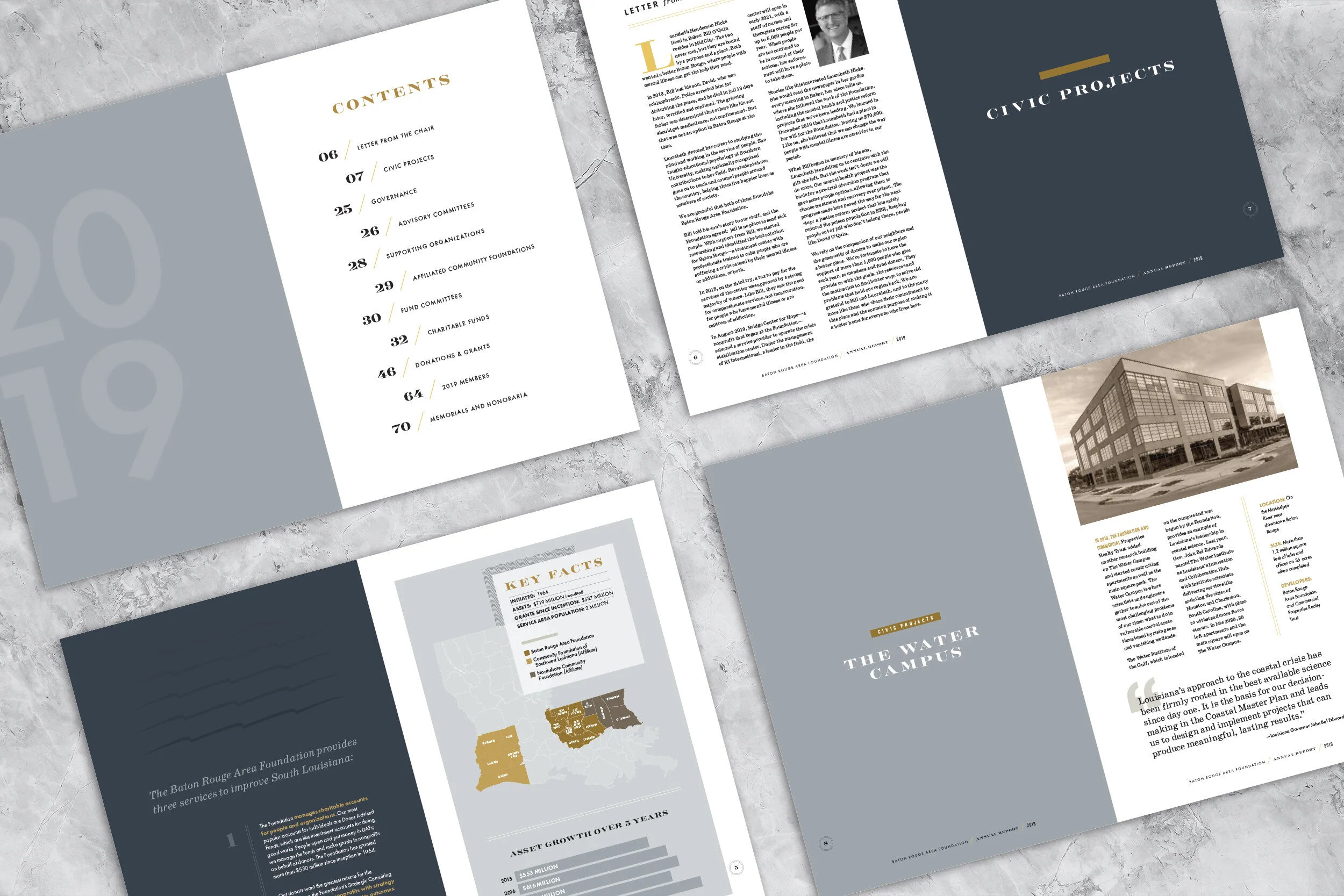 BRAF Annual Report 2019 2500px_3.jpg