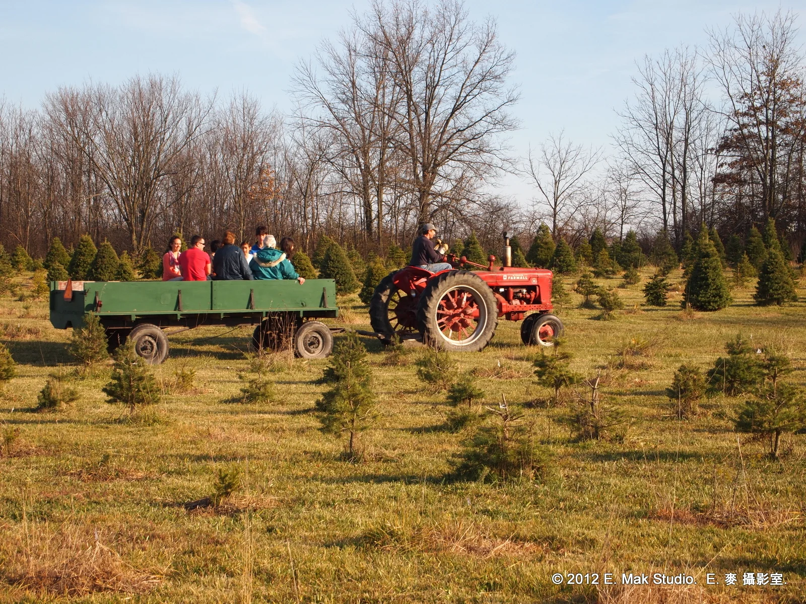 20121122_Irwin_Farm_ 11-22-2012 3-59-13 PM.JPG